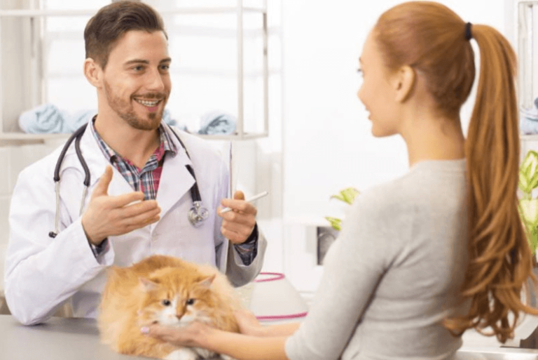 Signs Your Cat May Benefit From CBD Calming Treats