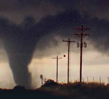 Remote Hosts Lose Bookings By Guessing At Wind Damage