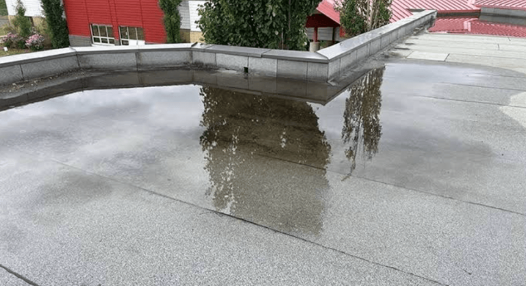The Real Cost Of Letting Water Sit On A Flat Roof